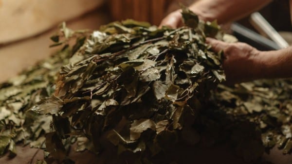 Веник для бани: правила и полезные советы