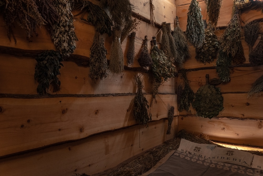 Кочевник слайд 12